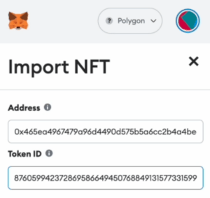 domains on metamask