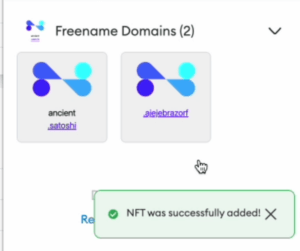 domains on metamask