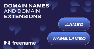 Domain Names and Domain Extensions